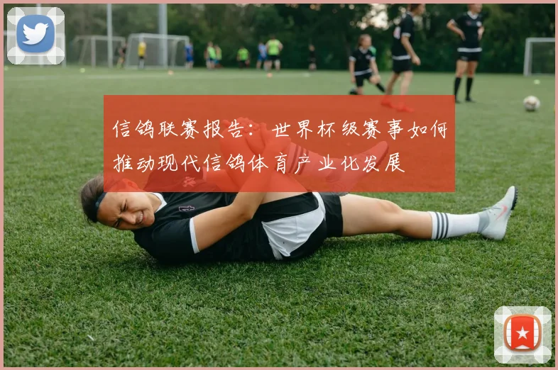 信鸽联赛报告：世界杯级赛事如何推动现代信鸽体育产业化发展