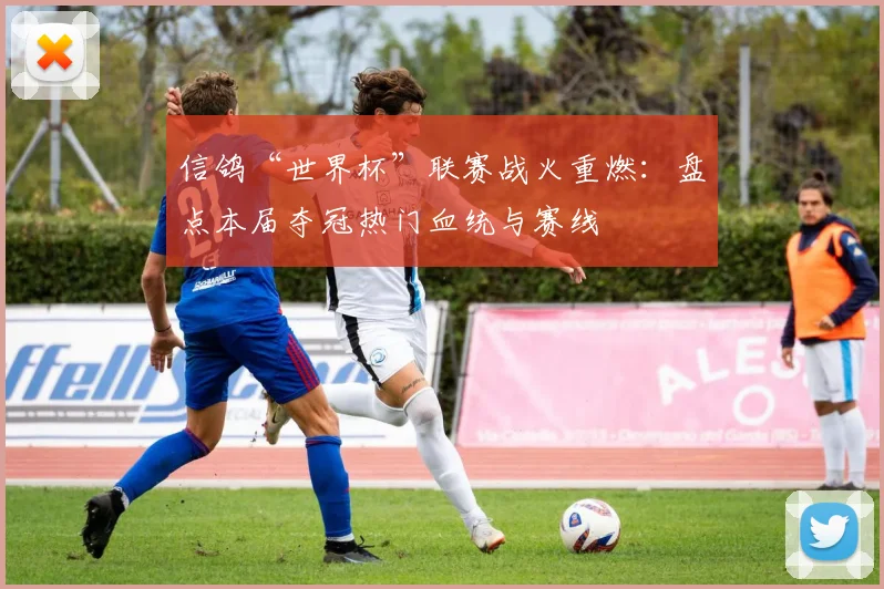 信鸽“世界杯”联赛战火重燃：盘点本届夺冠热门血统与赛线