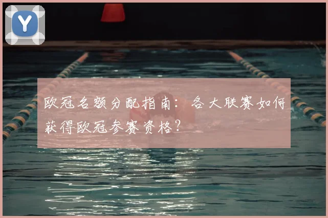 欧冠名额分配指南:各大联赛如何获得欧冠参赛资格?