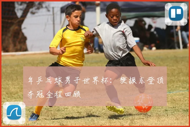 年乒乓球男子世界杯:樊振东登顶夺冠全程回顾