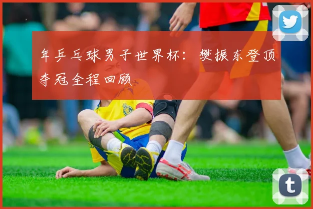 年乒乓球男子世界杯:樊振东登顶夺冠全程回顾