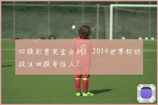 四强彩票奖金分析：2014世界杯的投注回报率惊人？