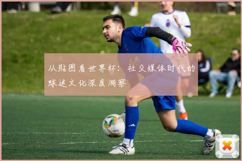 从贴图看世界杯：社交媒体时代的球迷文化深度洞察