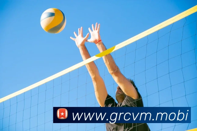 开云手机在线官网登录平台生态图